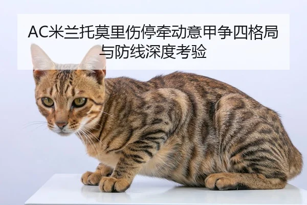 AC米兰托莫里伤停牵动意甲争四格局与防线深度考验